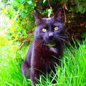 Meet your Posher, Claudia